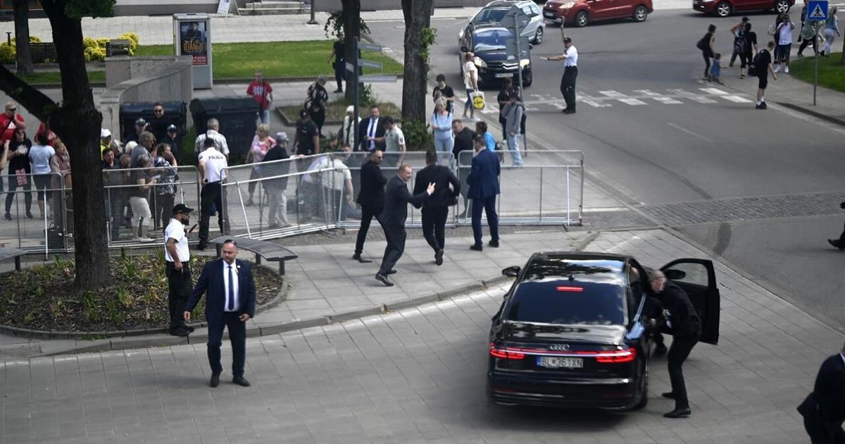 The suspect in the attempted assassination of Slovakia's prime minister now faces terror charges