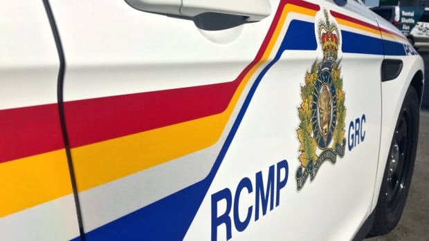 Search underway for teenage boy after canoe tips on Sask. lake: RCMP