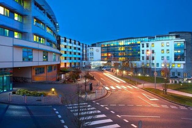 Cyclist (70s) dies after being found at side of road in Cork