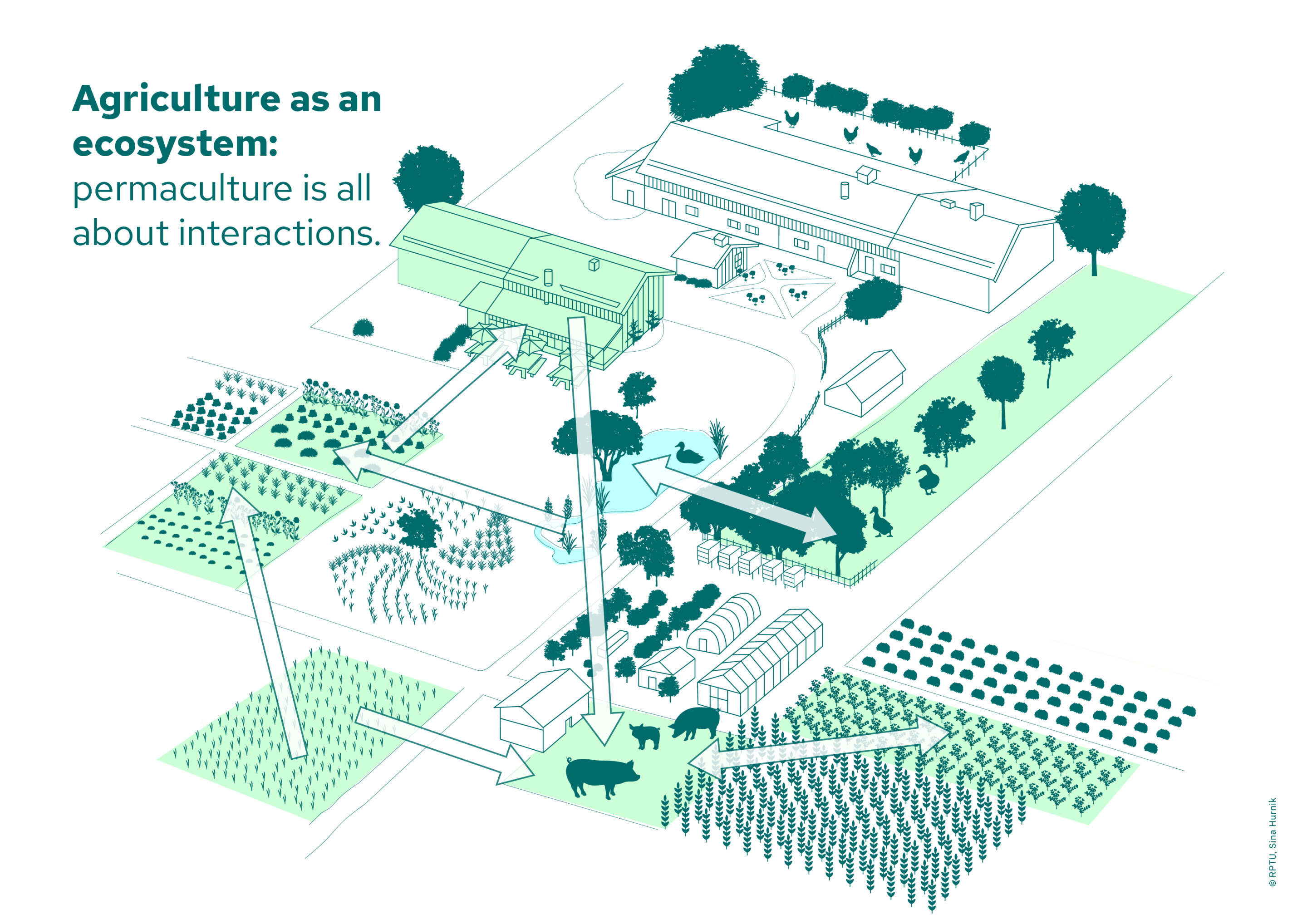 Permaculture found to be a sustainable alternative to conventional agriculture