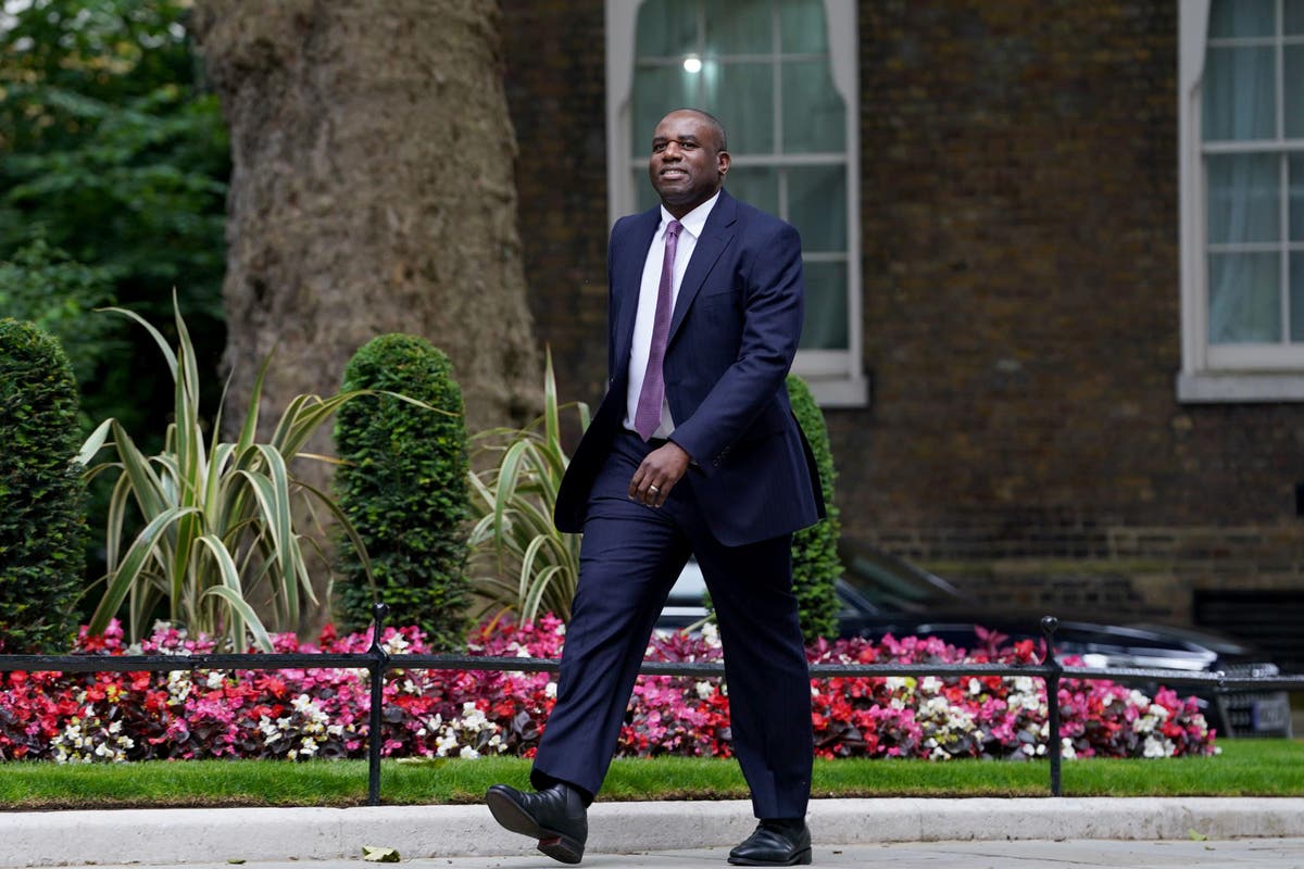 UK to target closer partnership with European Union, says David Lammy