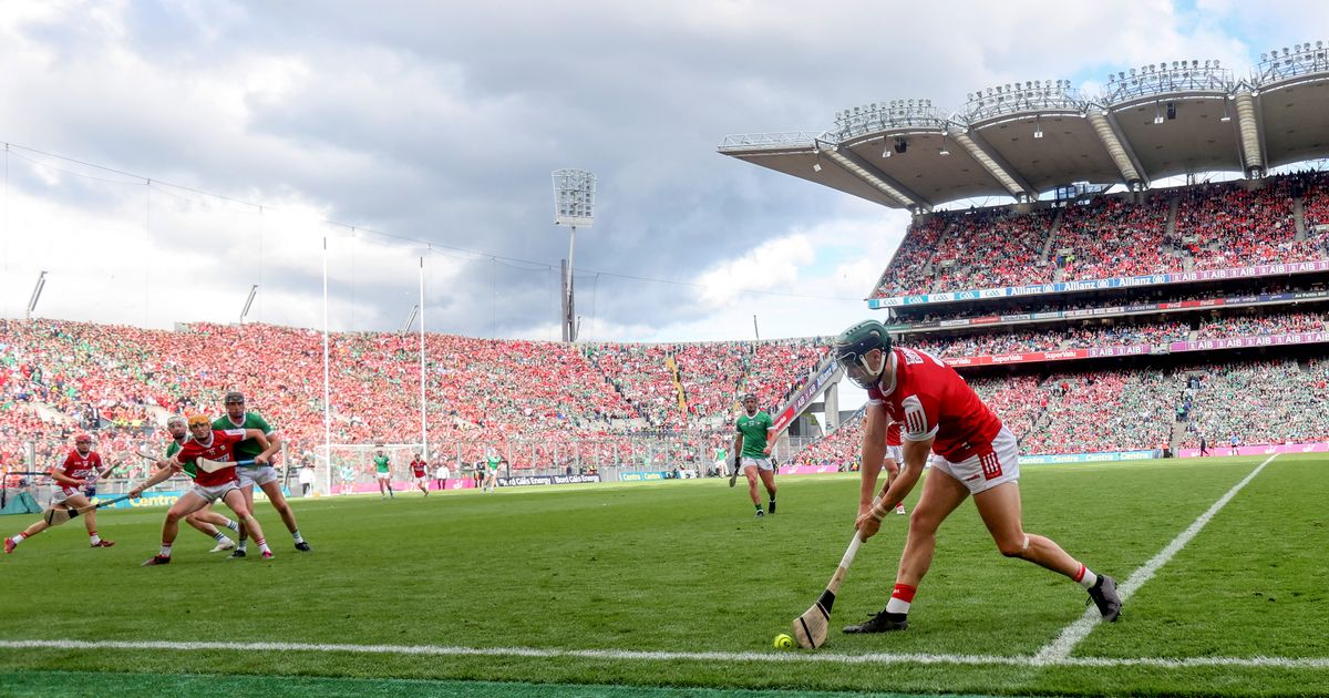 Shane Dowling: Limerick will bounce back but Cork were deserving winners of astonishing match 