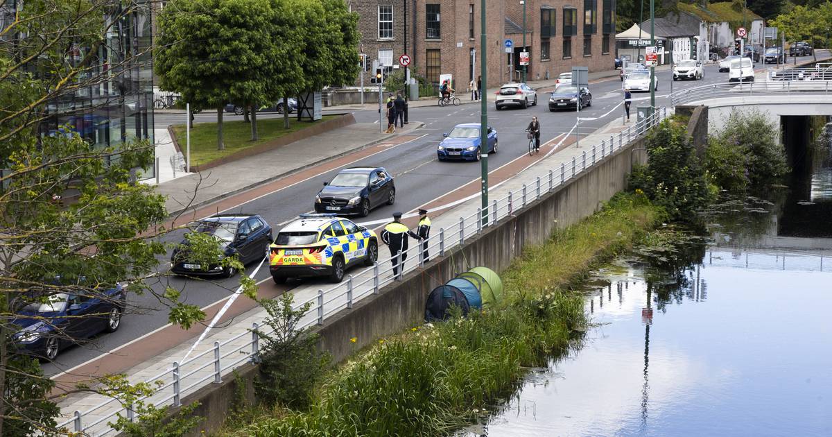 Two men who died in Grand Canal in Dublin were known to homeless services