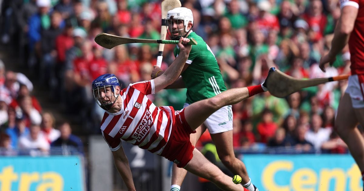 Cork fans name their 'unsung hero' of epic semi-final victory over Limerick 