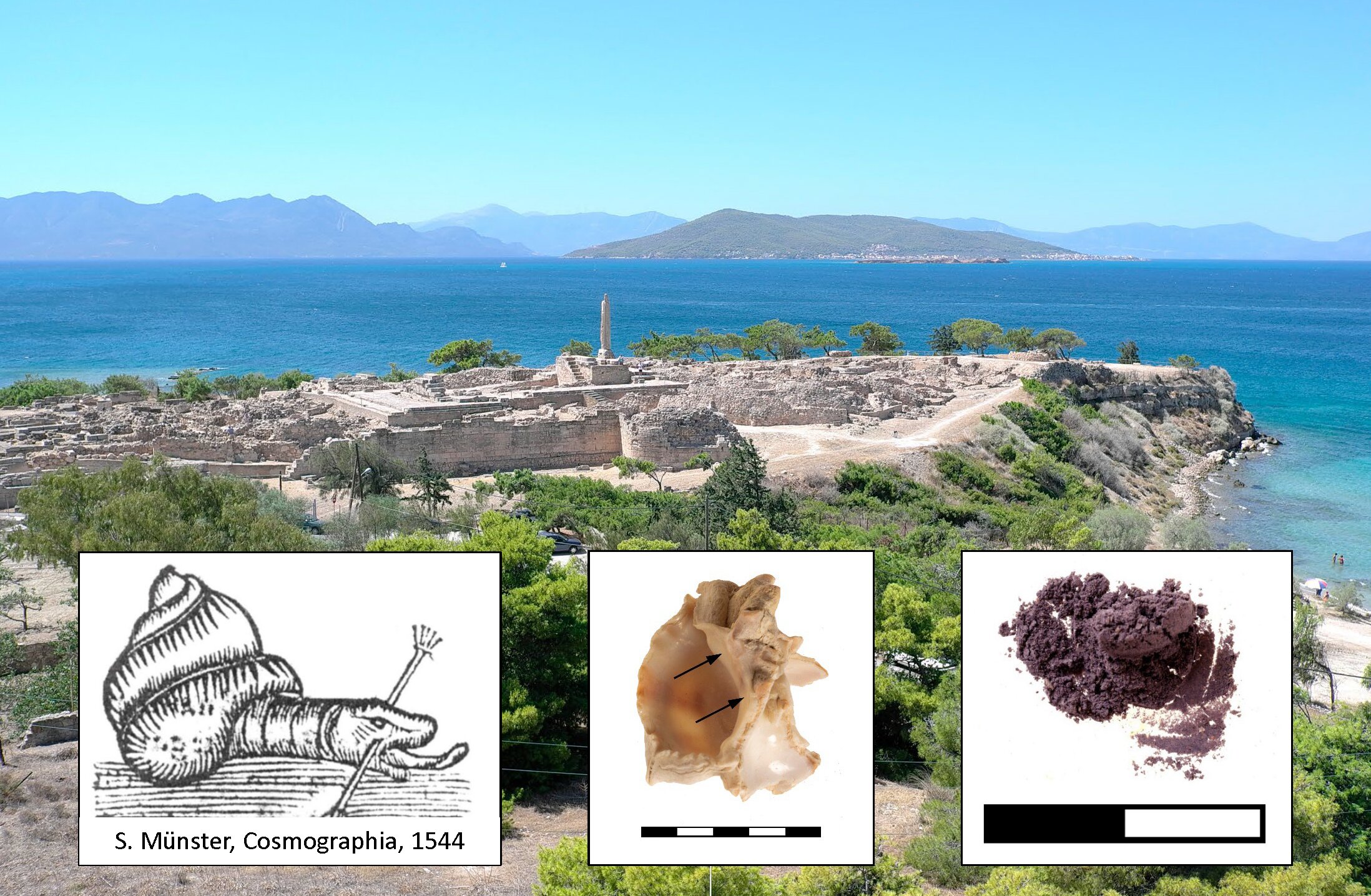 Analysis indicates Greek island was home to Bronze Age purple dye workshop