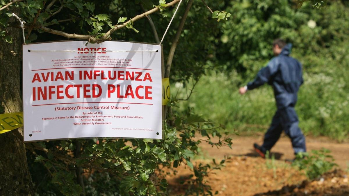 Does H5N1 avian influenza have pandemic potential?