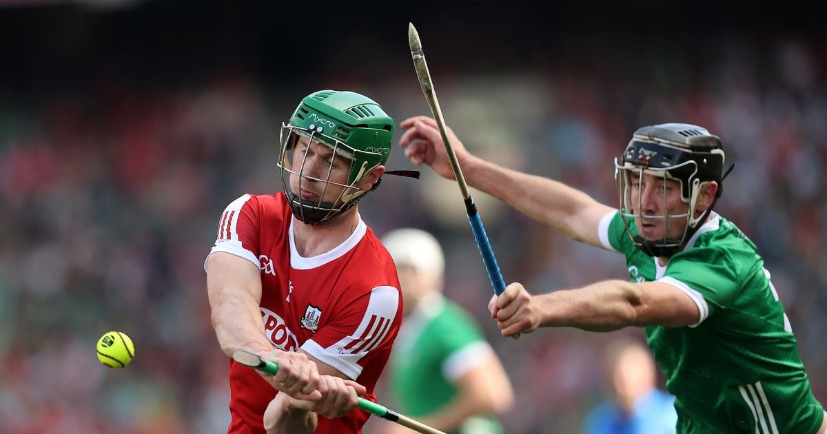 Veteran Seamus Harnedy still has the warrior spirit that Cork need