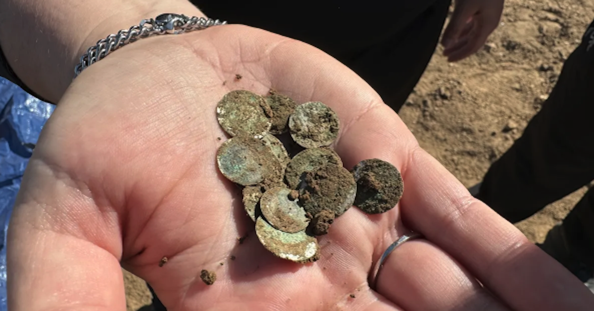 Lucky Woman Happened Upon A Huge, Priceless, 900-Year-Old Treasure Trove Of 2,150 Silver Coins