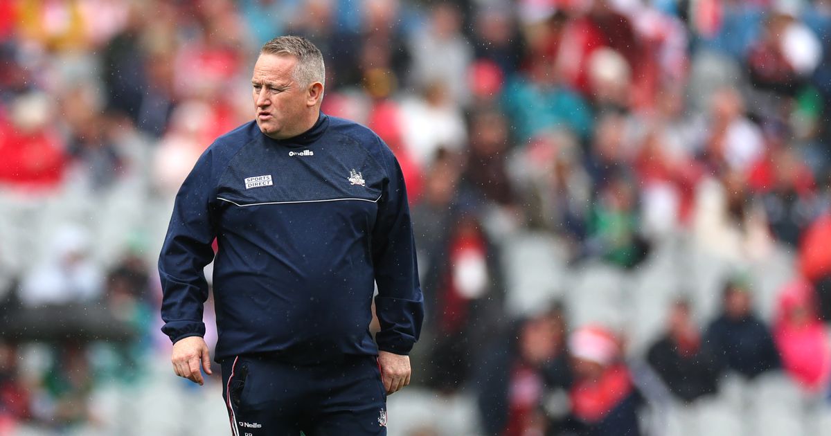 Cork boss Pat Ryan says he took time off work for final prep - before beating Limerick