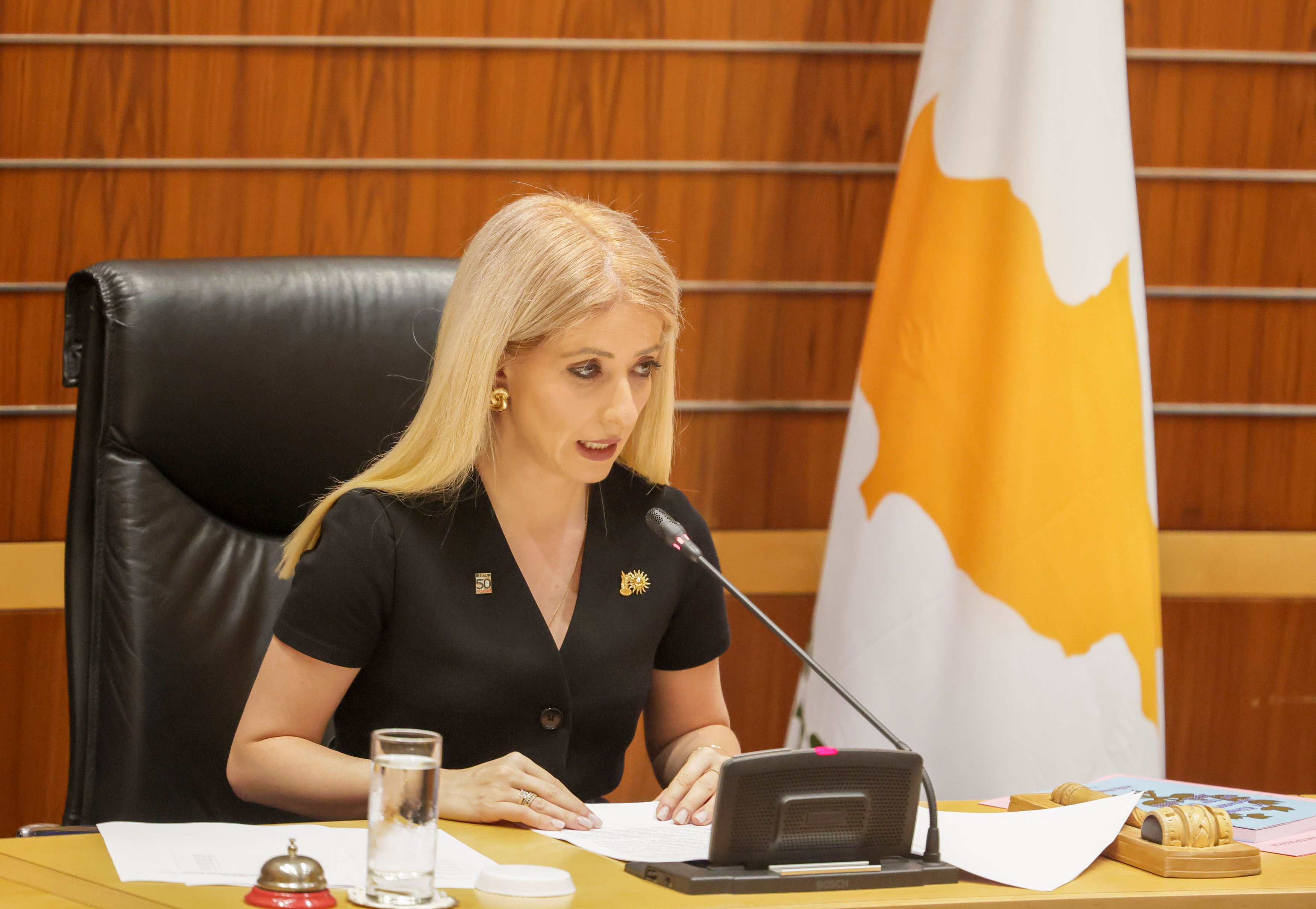 Demetriou: Cyprus must take bold steps toward peace