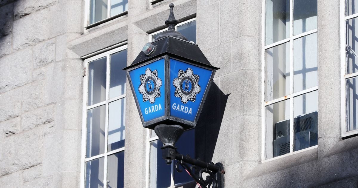 Gardai arrest teenager after seizing imitation firearm at Cork house