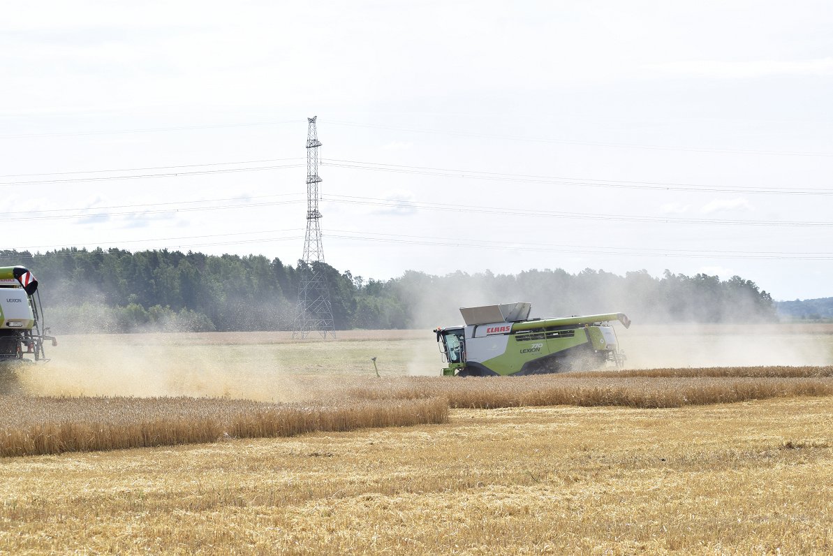 Grain harvest starts early in Latvia this year