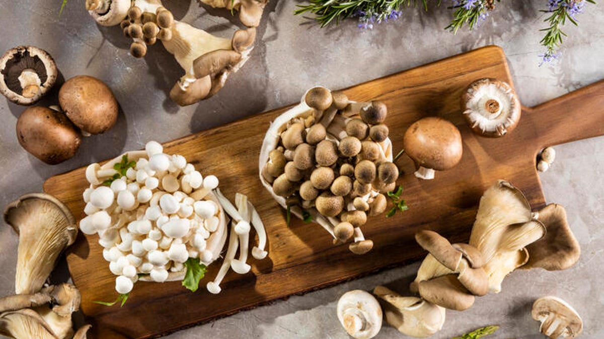 The Medicinal Mushrooms You Should Be Taking to Improve Your Health