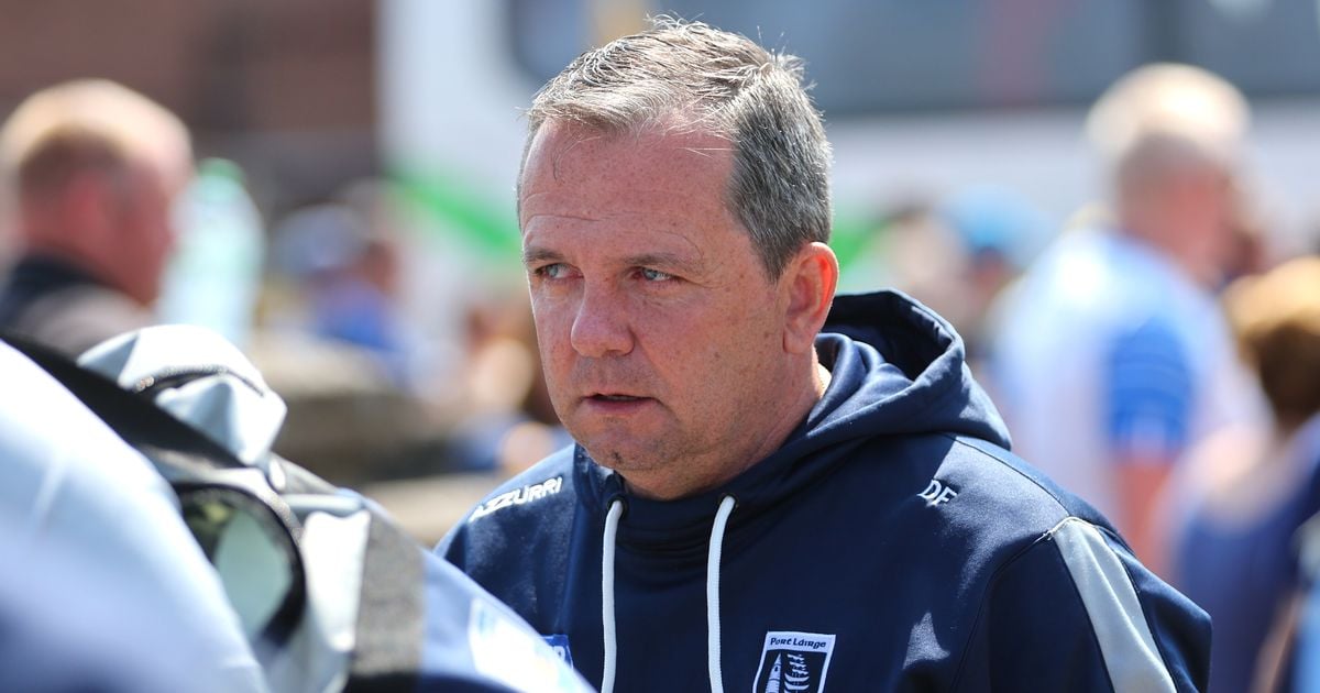 Davy Fitzgerald 'turned down Galway job' but leaves door open to county management return