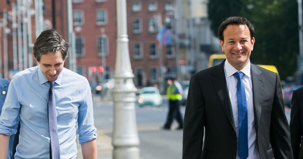 Leo Varadkar praises Taoiseach Simon Harris' work ethic but doesn't know if he'll be able to keep it up