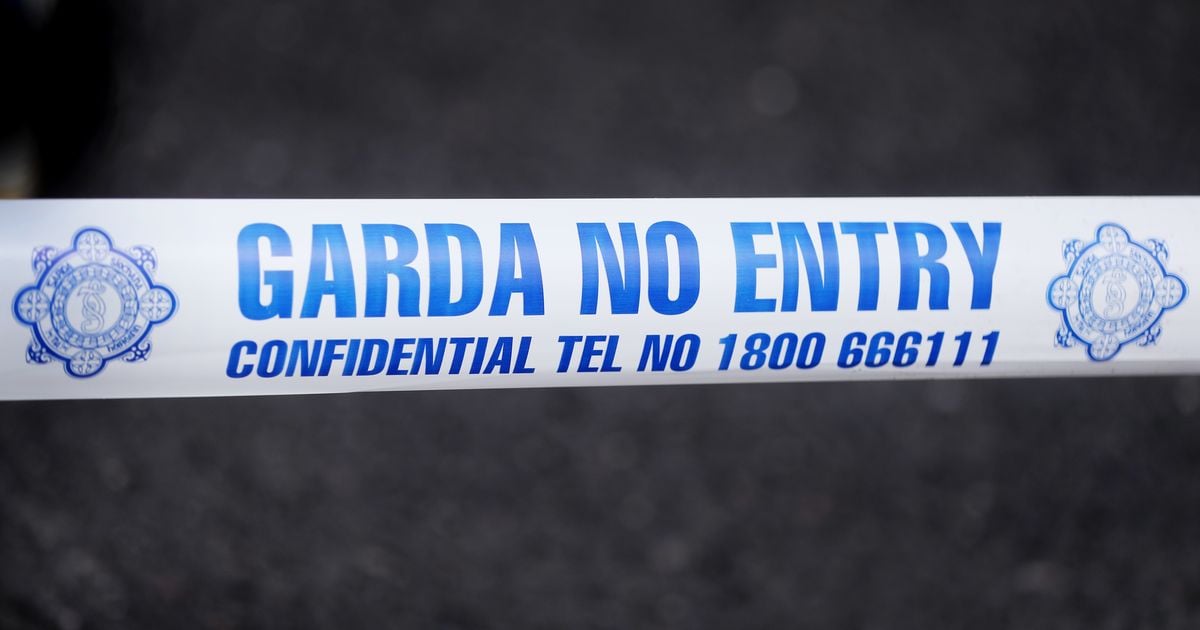 Pensioner seriously injured following shooting incident in Longford