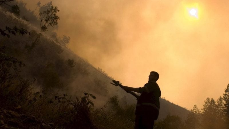 Heatwave-stricken Bulgaria banking on EU help to fight fires