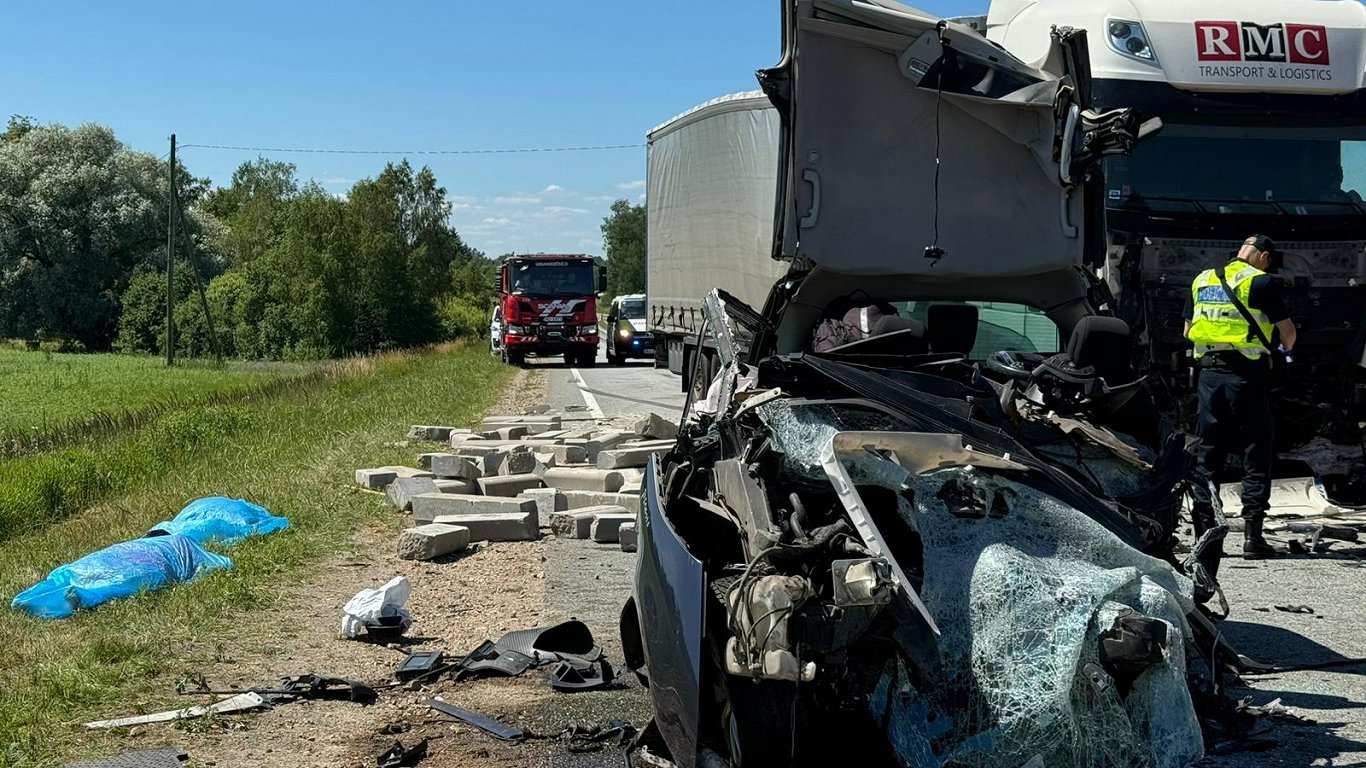 Safety audit on crash-prone highway in Latvia detects problem bushes