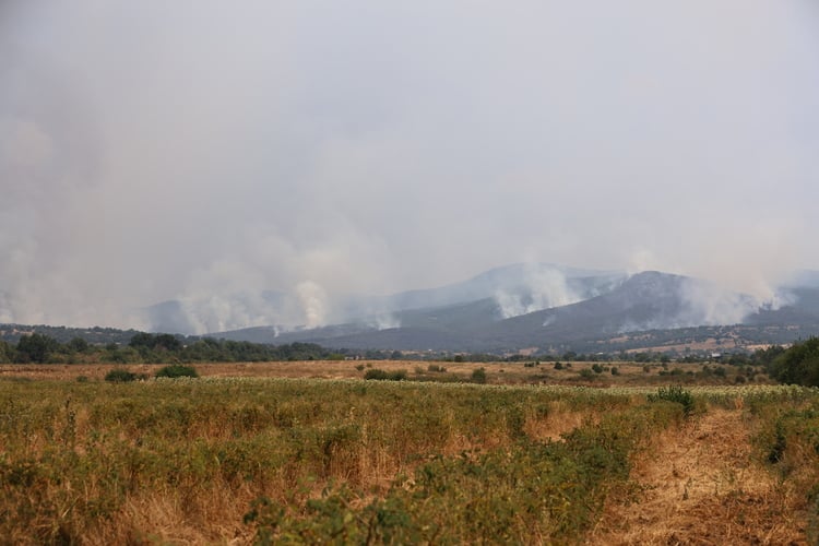 Agricultural Producers Join Wildfire Fight