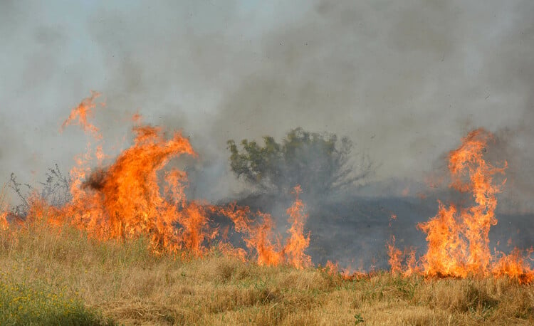 New Wildfire Breaks Out between Towns of Harmanli and Lyubimets