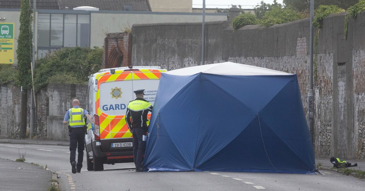 Breakthrough in fatal Dublin hit-and-run case as DNA found in vehicle and suspect known to gardai
