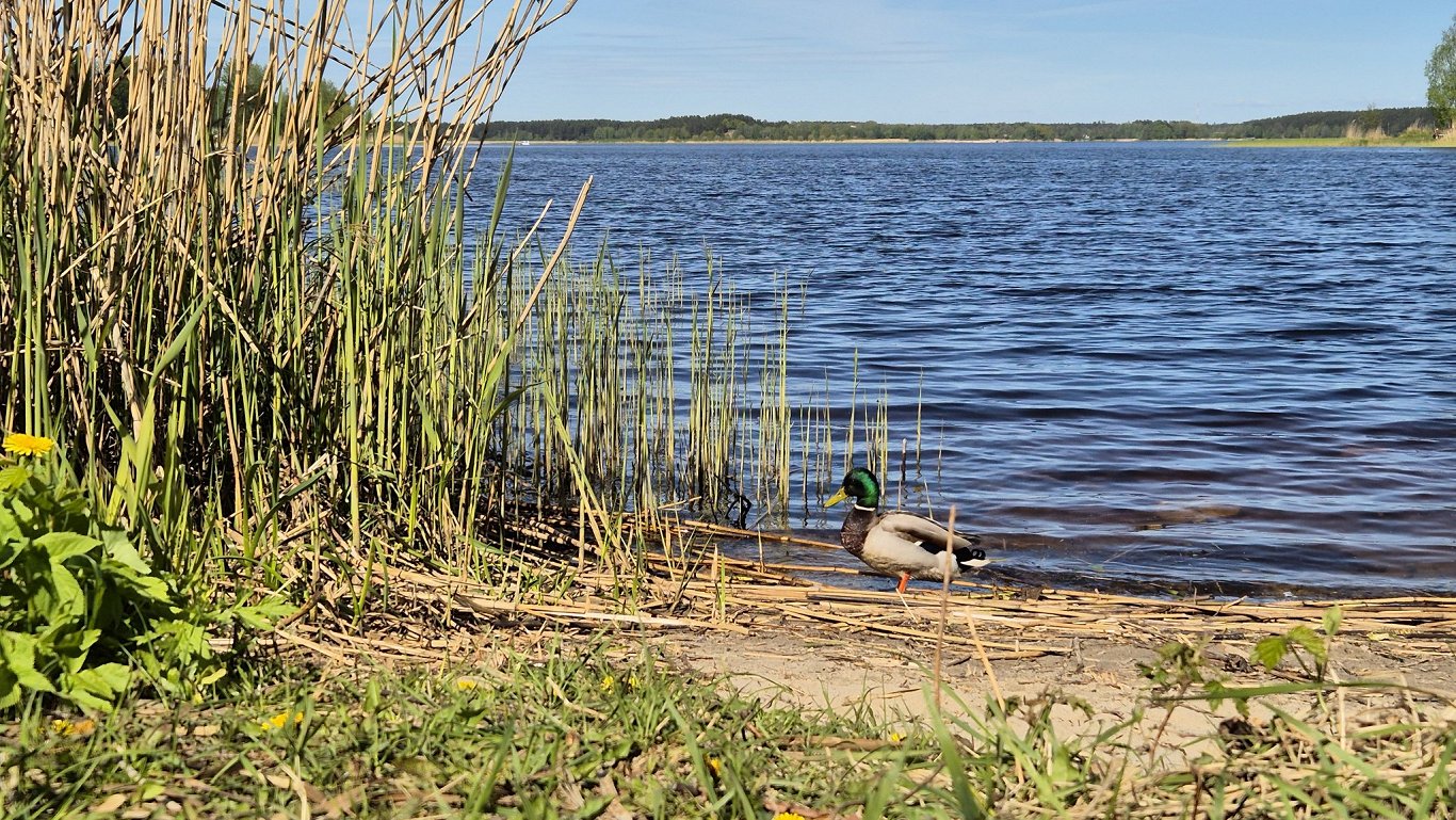 Latvia's problematic 'public' lakes with no public access
