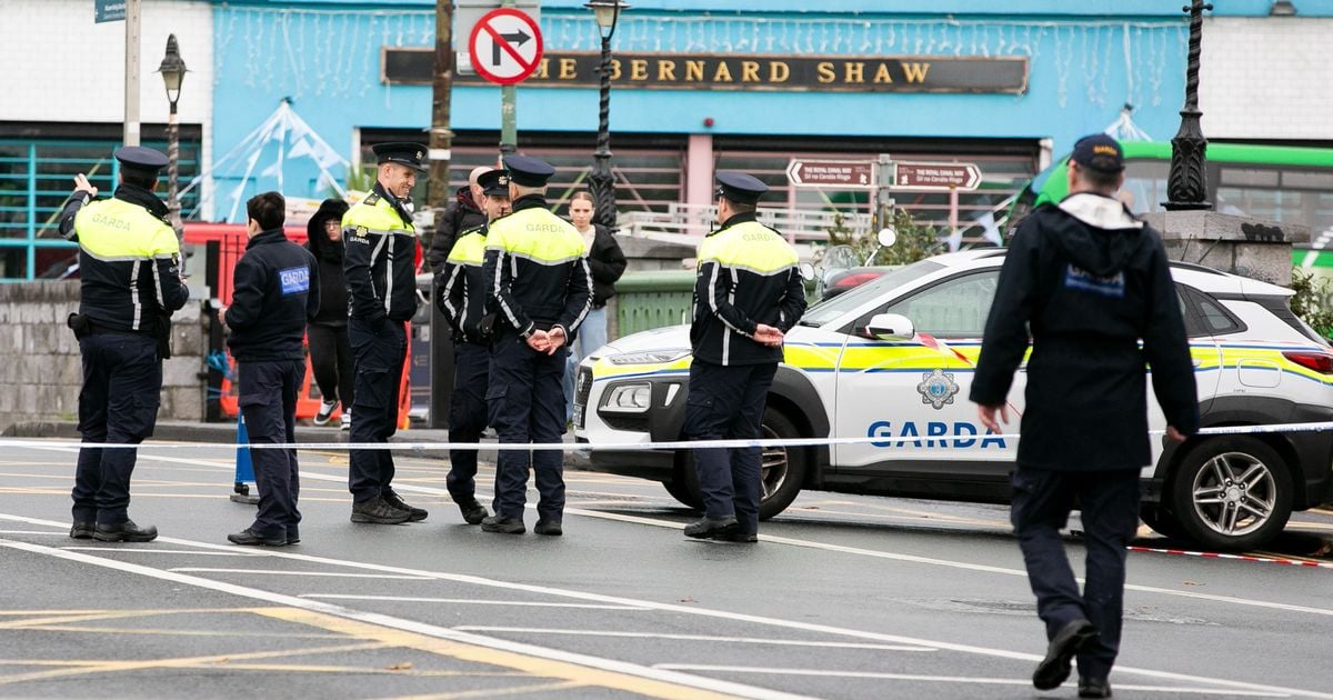 Six years in jail for disqualified driver who killed retired garda's wife in collision