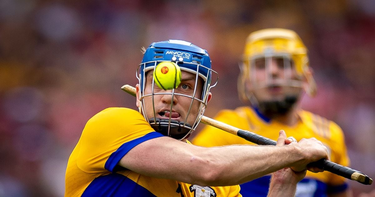 Shane Dowling column: My reasons for choosing Shane O'Donnell as my hurler of the year