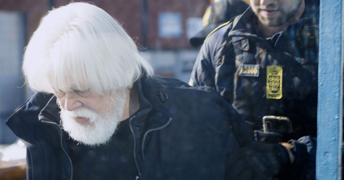 Anti-whaling activist Paul Watson arrested on Japan's orders days after leaving Dublin