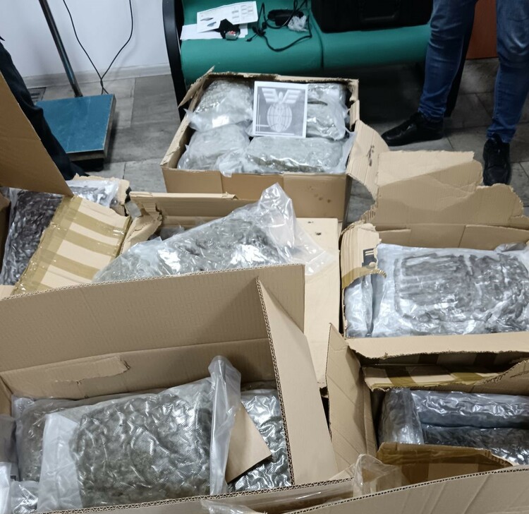 Large Amount of Marijuana Seized by Customs Officers Near Border with Greece 