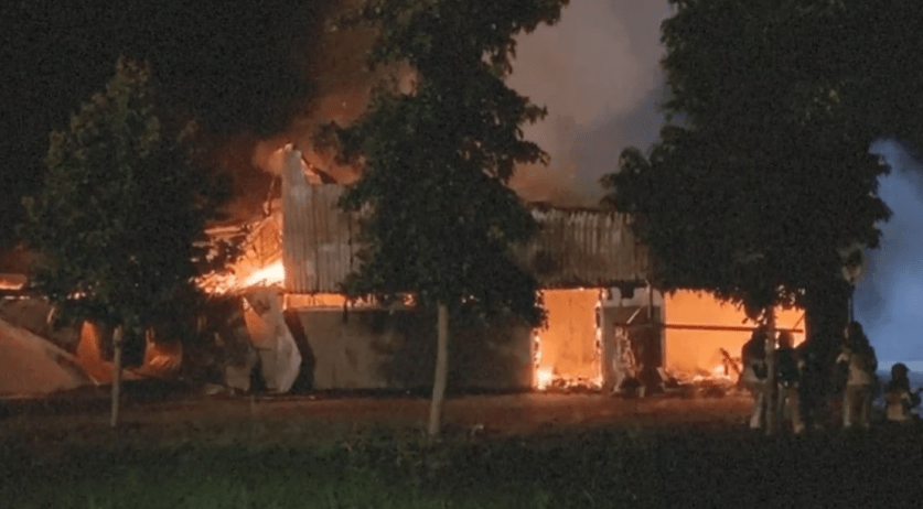 Fire at Zeewolde riding school; 18 horses killed 