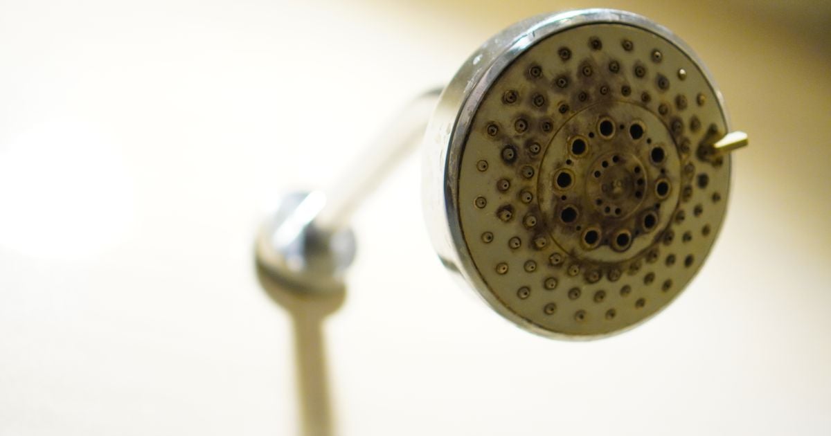 'Genius' limescale shower head cleaning hack uses one common household item