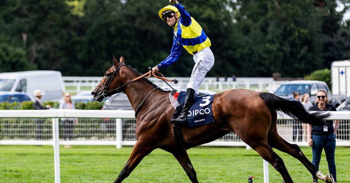 Goliath slays rivals in surprise win in King George VI & Queen Elizabeth Stakes at Ascot