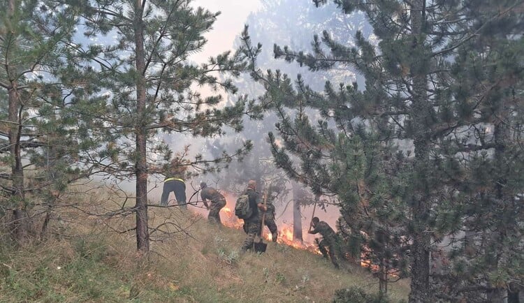 Fire Burning on Bulgarian-Greek Border Covers 70-100 Decares of Bulgarian Territory