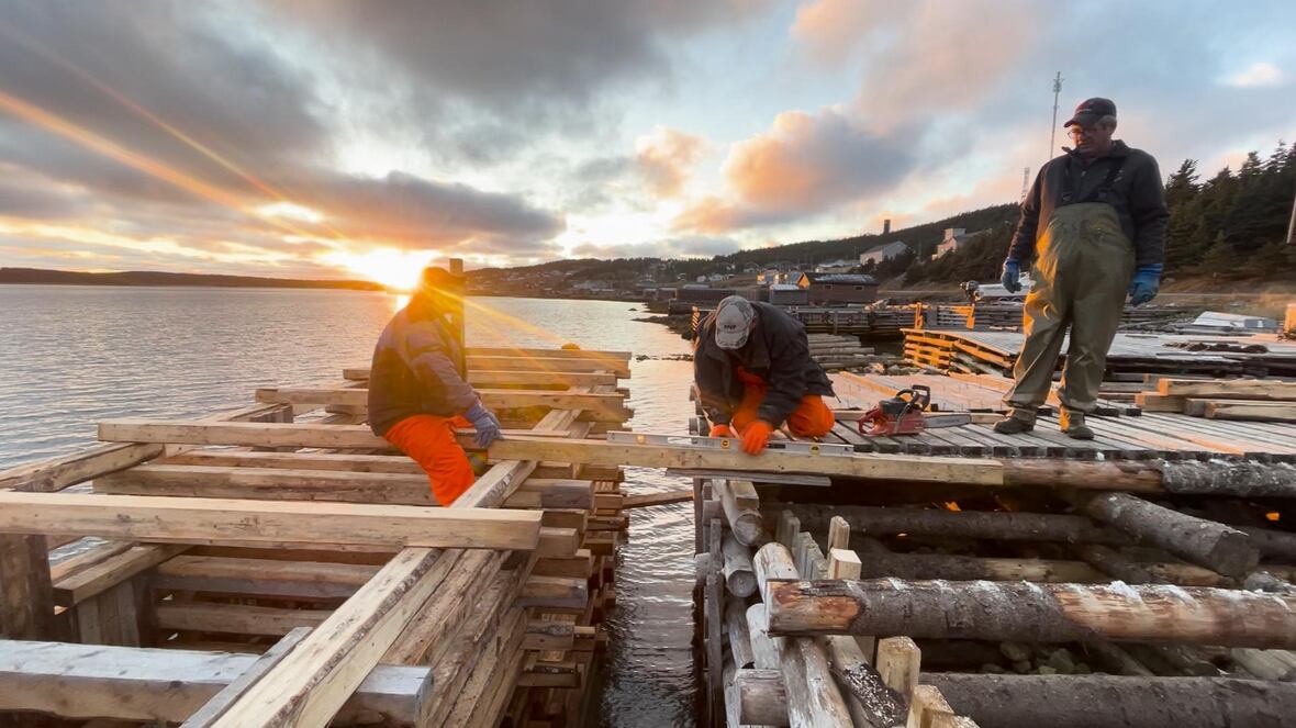 All Eyes On The Water: a climate-focused documentary from coastal Newfoundland