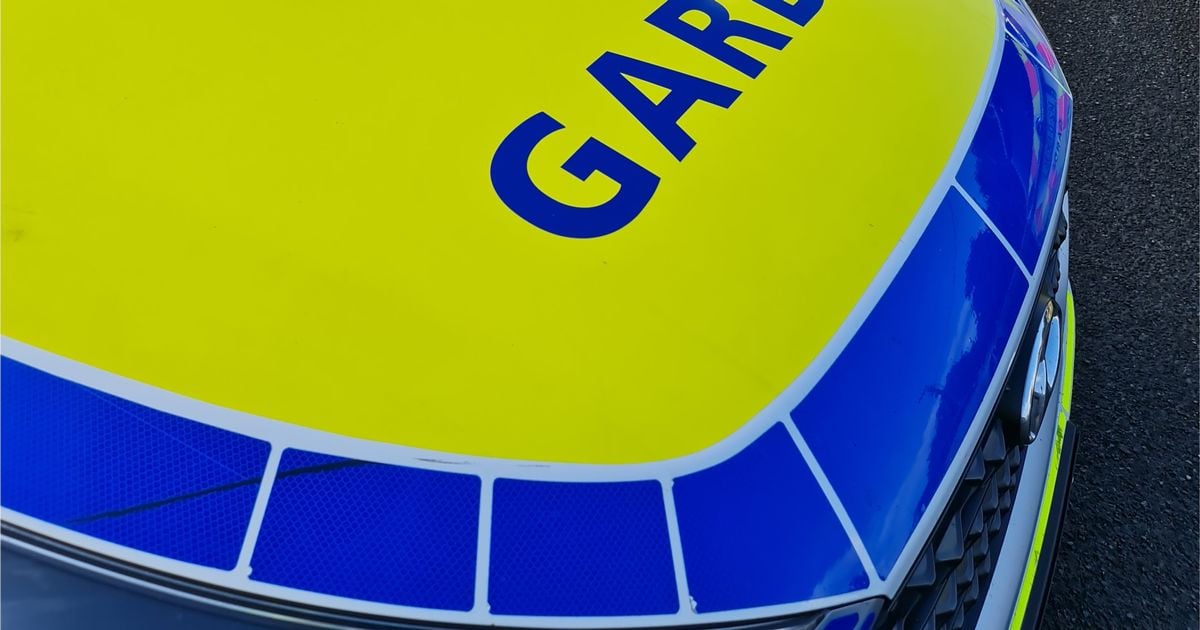 Gardai nab disqualified motorist driving under influence of drugs
