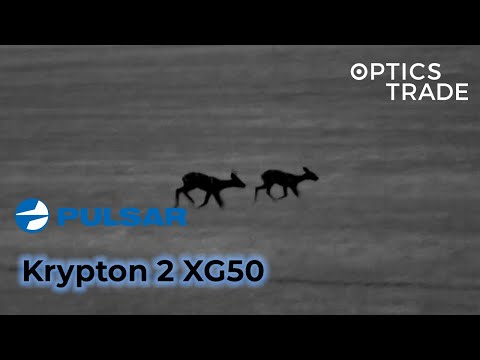 Deer mating with Pulsar Krypton 2 XG50 | Optics Trade See Through