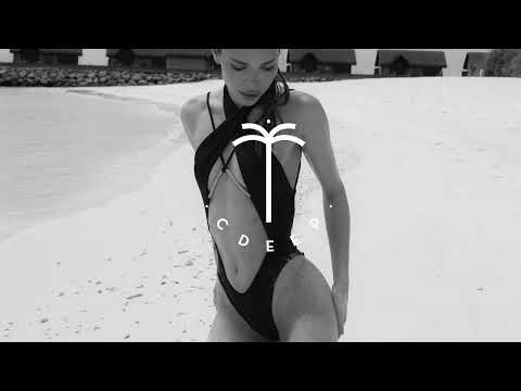 Feder feat. Lyse - Goodbye (Mont Rouge Remix)