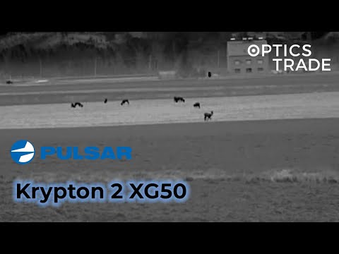 Deer and Foxes with Pulsar Krypton 2 XG50 | Optics Trade See Through