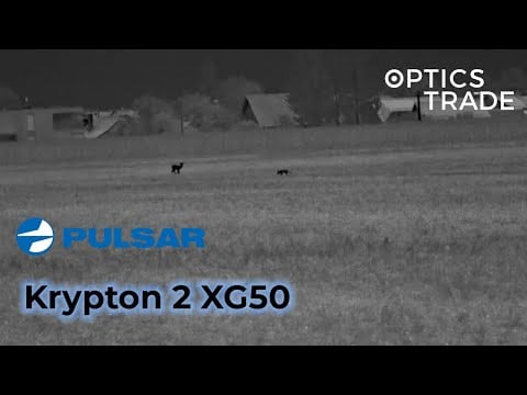 Deer and fox with Pulsar Krypton 2 XG50 | Optics Trade See Through