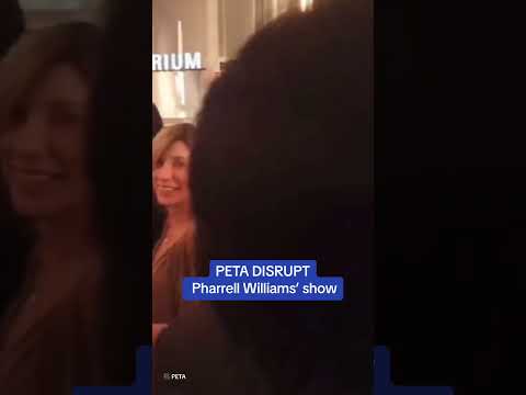 Pharrell William pre-Olympics fashion show DISRUPTED by PETA