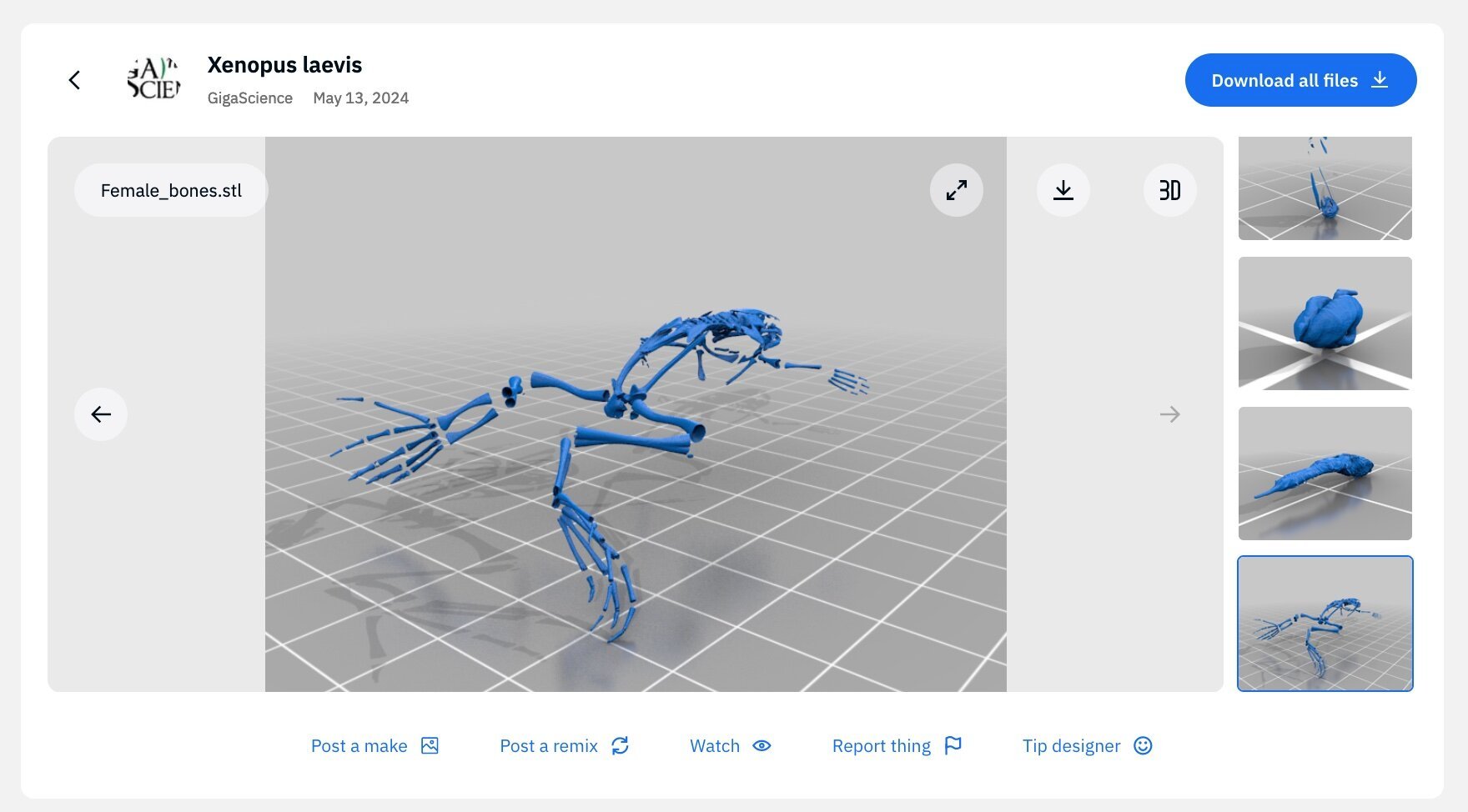 New 3D anatomical atlas of the African clawed frog increases understanding of development and metamorphosis processes