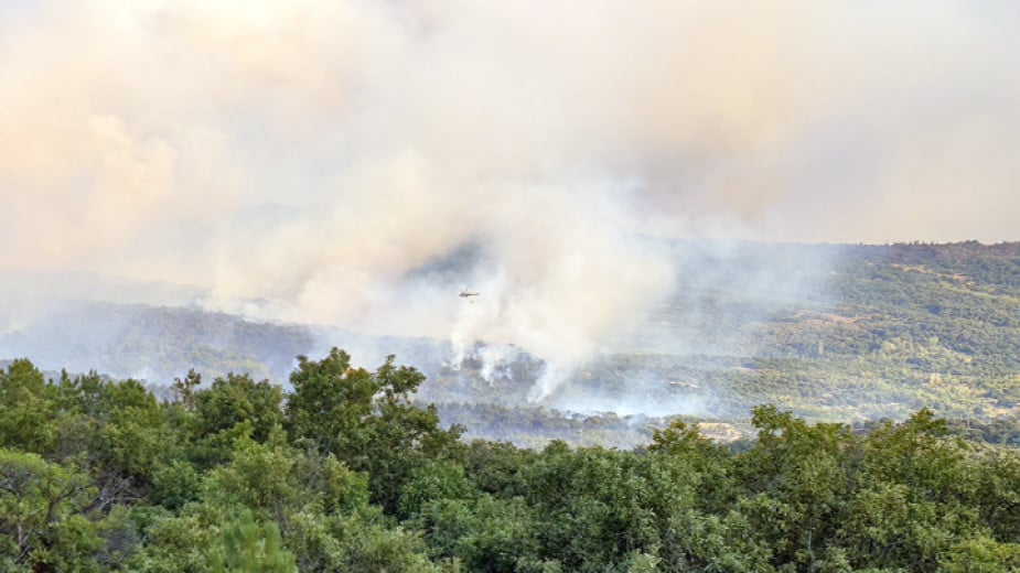 Dangerous fire near Sakar mountain now under control, combating the flames in Slavyanka continues