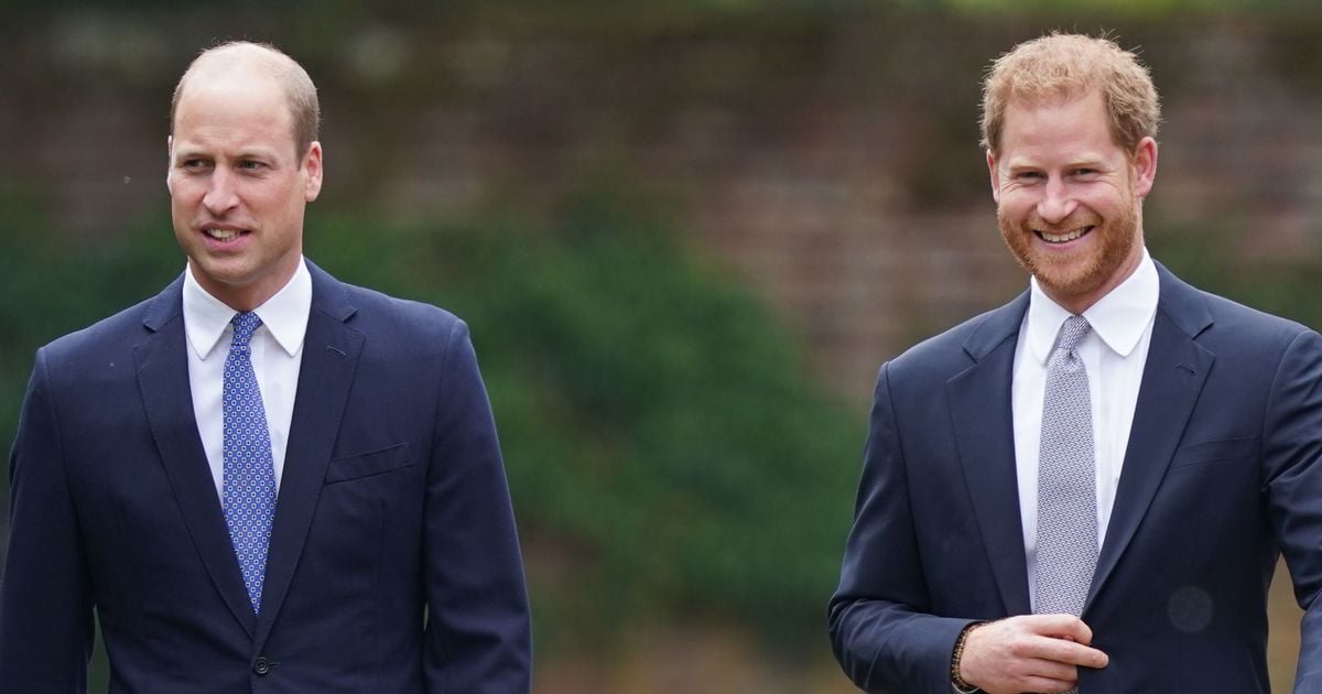 Prince Harry and William's bond is 'dire' but there's a glimmer of hope, claims insider