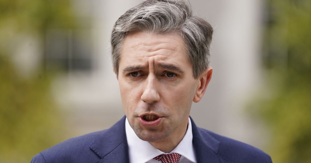 Budget 2025: Taoiseach Simon Harris promises cost-of-living package before end of year