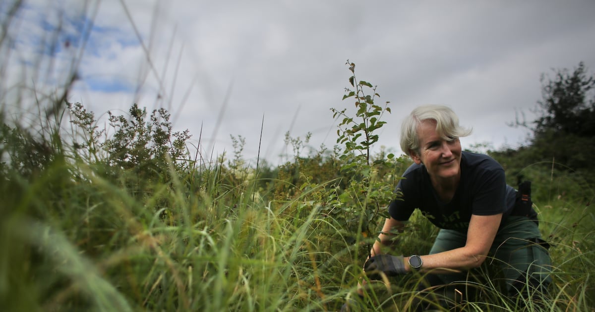 Irish people are taking positive actions for our climate and momentum is building