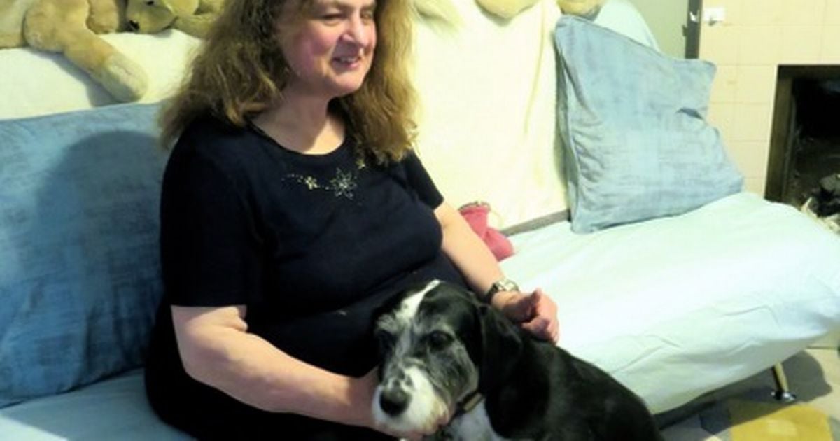 Blind woman 'humiliated' by Dublin taxi driver who refused to allow guide dog in car