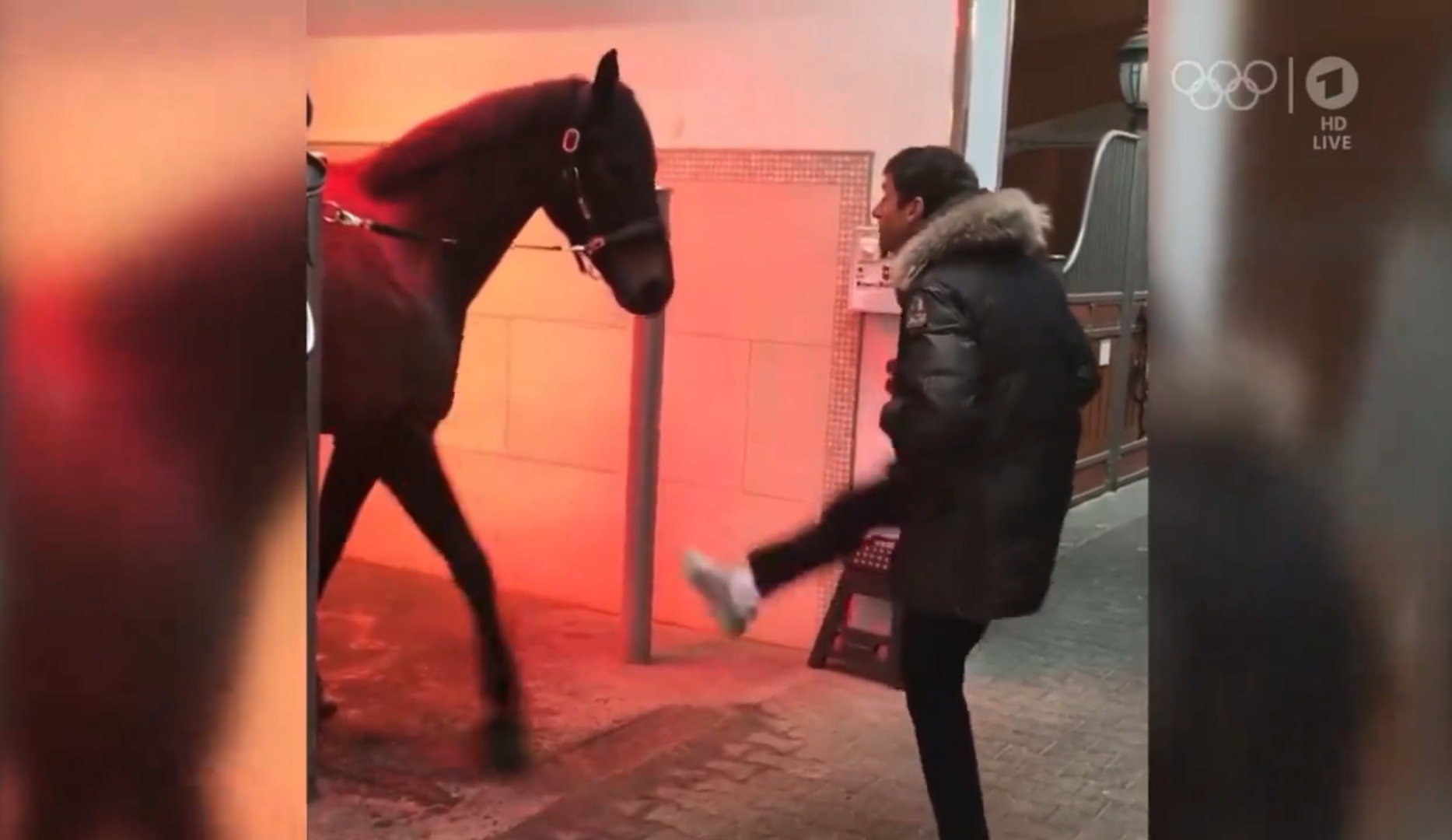 Commentator stunned as Olympics coverage cuts to Thomas Muller dancing with horse