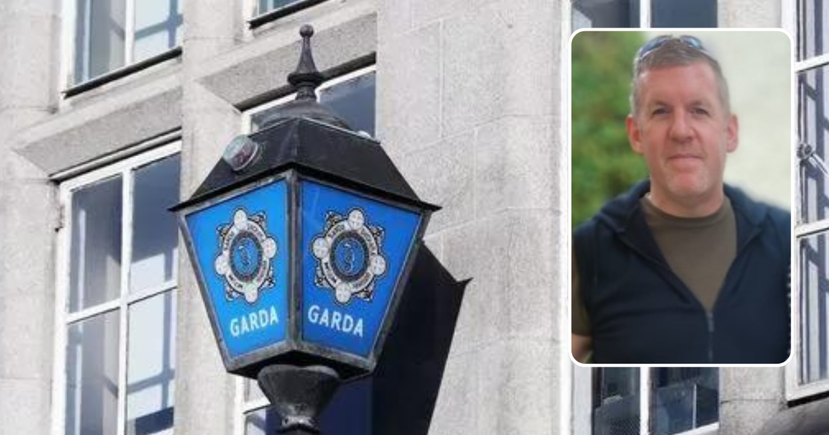 Gardai 'very concerned' for wellbeing of Wicklow man missing for number of days