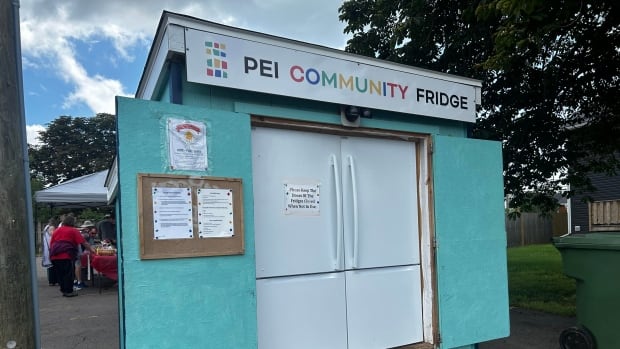 Charlottetown planning board tells council it shouldn't let community fridge stay where it is